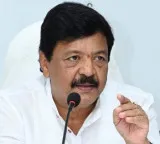 Kandula Durgesh assures safety as tiger triggers panic in East Godavari