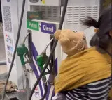 Baby on back work in hand working mother video wins millions of hearts viral