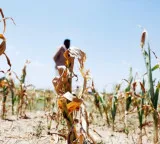Telangana CM to hold meeting with ministers on drought conditions, relief