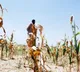Telangana CM to hold meeting with ministers on drought conditions, relief