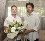 Rahul Gandhi and Vijay meet over coffee at a Chennai cafe