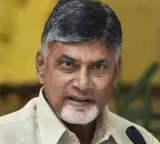 AP Cabinet finalizes BC reservations for local body elections
