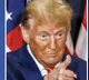 Donald Trump joins hands with Putin for diesel in key Russia Ukraine war development