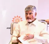 Chandrababu Naidu thanked by Krishna Delta farmers for Pattiseema project success