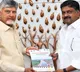 Chandrababu Naidu receives Uravakonda development report and gives key suggestions to MLAs