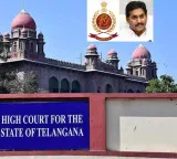YS Jagan Mohan Reddy Assets Case ED Urges High Court to Speed Up Trial Hearing Adjourned to 13th
