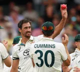 Australia's fabled quartet moves past 600-wicket milestone in historic first