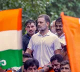 Rahul Gandhi hails nationwide protest; thanks people for defending Constitution, democracy