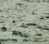 Andhra Pradesh Rain Forecast Rain for Next Three Days
