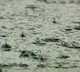Andhra Pradesh Rain Forecast Rain for Next Three Days