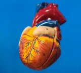 Nana Patekar death a warning how dangerous is coronary artery blockage