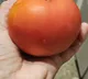 Good news for vegetarians meat tasting tomatoes are coming