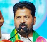 Revanth Reddy suspends high ranking official in electricity department