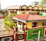 Heritage Foods results revenue increased but profit decreased due to high costs