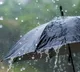 Rain forecast for several districts in AP where are they