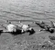 Sri Sathya Sai district tragedy Five women drown in Gollapalli reservoir Lokesh expresses grief