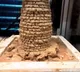 Mars house construction using 3D printing and living bricks