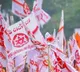 Saluru strange politics unexpected shock to Janasainiks over chairperson ticket