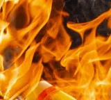 Ahobilam massive fire accident causes 50 lakh property loss
