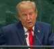 Donald Trump immigration policy leads to 50 percent drop in US immigrant visas