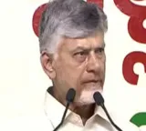Chandrababu Naidu instructs TDP rebels to withdraw nominations immediately