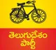 YS Jagan Mohan Reddy is the mastermind behind state riots says Peethala Sujatha