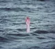 Durga idol immersion: Boat capsizes in Rajasthan's Kota, four children feared drowned; rescue ops on