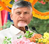 Chandrababu Naidu warns against rowdyism and calls for AP to lead in law and order