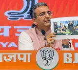 BJP accuses Rahul Gandhi of seeking foreign interference in India\'s internal matters