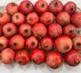 India’s Sinduri pomegranate exports hit Dubai market
