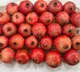 India’s Sinduri pomegranate exports hit Dubai market