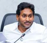 Jagan seeks appointment of amicus curiae to supervise local body polls in Andhra
