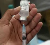 Gorakhpur Cow Dies After Dog Bite 450 People Vaccinated After Drinking Milk