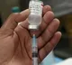 Gorakhpur Cow Dies After Dog Bite 450 People Vaccinated After Drinking Milk
