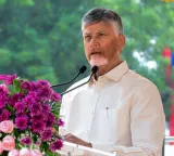 YSRCP's Ambati Rambabu alleges SEC reduced to Andhra CM Naidu's 'puppet'
