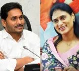 YS Jagan Mohan Reddy letter to Sharmila clarifies Bengaluru house not for niece wedding