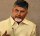 Chandrababu Naidu calls Jagan approach to local elections hit and run