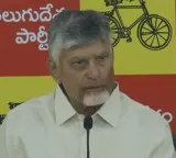 CM Chandrababu Naidu accuses YSRCP chief Jagan of 'damaging' Andhra's brand image