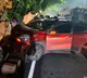 Tirumala accident after Srivari Darshan Tamil Nadu pilgrims injured