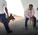 AE Lalitha Kumari murder case police dog goes straight to her husband