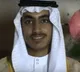 Al-Qaeda Vanguard Doctrine conspiracy against India with old strategy