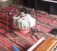 Swarashree Hegde sets record by playing tabla at age two as video goes viral
