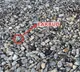 ChatGPT helps find lost earbud after photo upload goes viral
