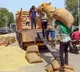 Paddy Prices in Telangana Hit Record High Crossing 5000 Per Quintal