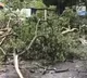 As Cyclone ‘Arnab' turns severe, South Central Railway cancels 11 trains
