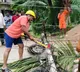 Cyclone Arnab claims four lives, leaves trail of destruction in coastal Andhra