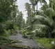 Cyclone Arnab rattles Andhra Pradesh 7 killed in separate incidents
