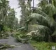 ‘Arnab’ crosses Andhra coast, weakens into severe cyclonic storm
