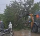 Cyclone Arnab wreaks havoc in Coastal Andhra with heavy rains and floods