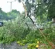 Andhra: Central team to visit cyclone-hit areas tomorrow